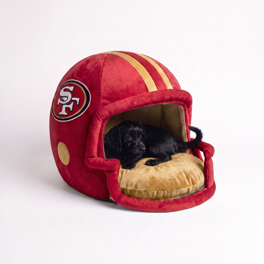 San Francisco 49ers
