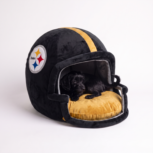 Pittsburgh Steelers